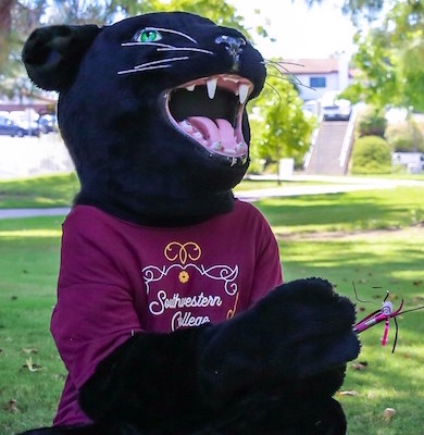 Mascot for Southwestern Mascot for Southwestern